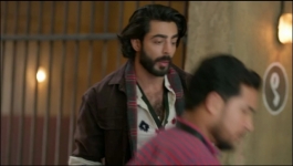 Binddii - 25th October 2025